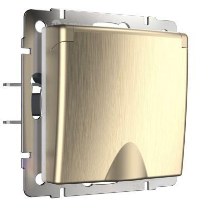 Розетка влагозащ. с заземл. с защит. крышкой и шторками Werkel WL10-SKGSC-01-IP44 (W1171210) шампань рифленый