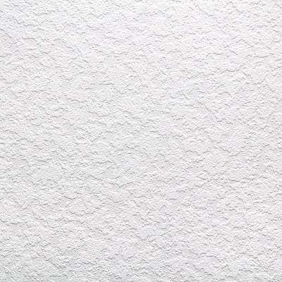 Обои Авангард WHITE PRO Пенка 07-019 виниловые на флизелине 1,06x25м, белый