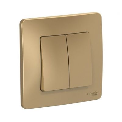 Выключатель Schneider Blanca 2-клавишный 10А 250B BLNVS010504 титан