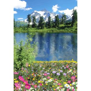 Фотообои Твоя Планета Алтайское лето Люкс 4л 1,36x1,94м