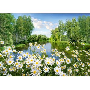 Фотообои Твоя Планета Ромашки Люкс 4л 1,94x1,36м