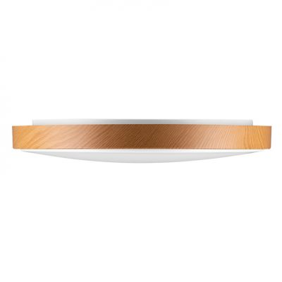 Светильник светодиодный управляемый Lumin'Arte Starwood 60W (6200Lm) 6К 530х92мм, пульт ДУ