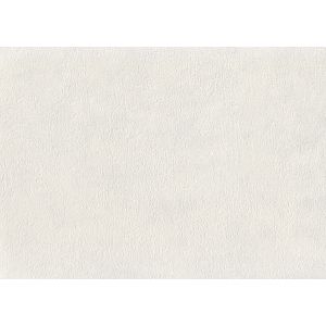 Обои Euro Decor Plants 7075-11 виниловые ГТ на флизелиновой основе 1,06x10,05м серый
