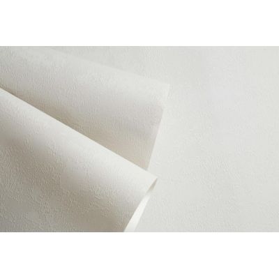 Обои Home Color Wisteria HC71420-15 виниловые ГТ на флизелиновой основе 1,06х10,05м серый