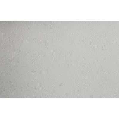 Обои Home Color Wisteria HC71420-15 виниловые ГТ на флизелиновой основе 1,06х10,05м серый