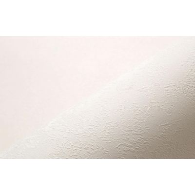 Обои Home Color Wisteria HC71420-22 виниловые на флизелине 1,06х10,05м бежевый