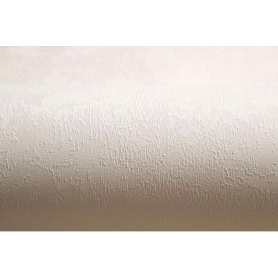 Обои Home Color Wisteria HC71420-22 виниловые на флизелине 1,06х10,05м бежевый