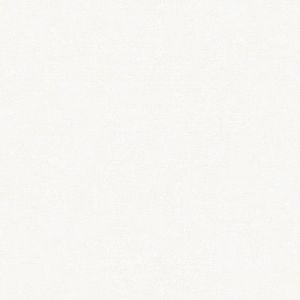 Обои Victoria Stenova Bosfor 889261 виниловые на флизелине 1,06x10,05м, белый