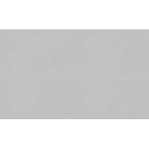 Обои Палитра Singapore PL71554-41 виниловые ГТ на флизелиновой основе 1,06х10,05м серый