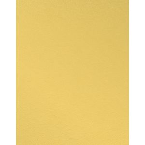 Обои Эрисманн Wild Mix 12000-03 виниловые на флизелине 1,06х10,05м, желтый