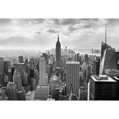 Фотообои Komar NYC Black&White 8-323 бумажные 368х254мм