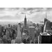 Фотообои Komar NYC Black&White 8-323 бумажные 368х254мм