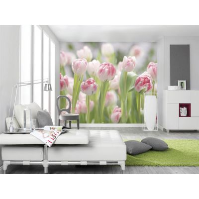 Фотообои Komar Secret Garden 8-708 бумажные 368х254мм
