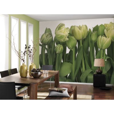 Фотообои Komar Tulips 8-900 бумажные 368х254мм