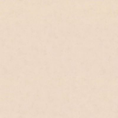 Обои Нome Color Reflect НC71542-22 виниловые на флизелине 1,06x10,05м, бежевый