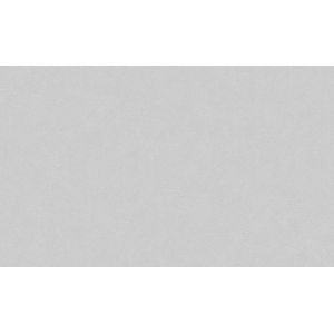 Обои Ateliero Maestro 889987 виниловые на флизелине 1,06x10,05м, серый