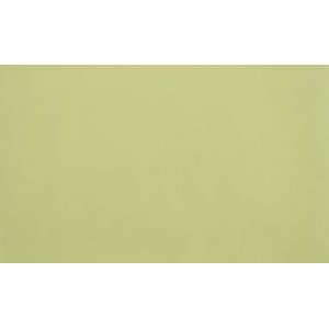 Обои Aспект Фрезия 30206-17 виниловые на флизелине 1,06х10,05м, зеленый