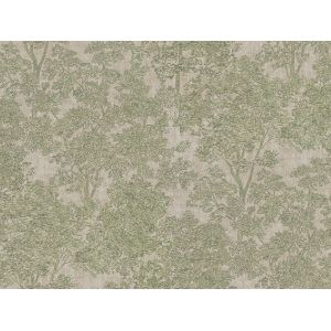 Обои Fipar Palazzo Terzi R22629 виниловые на флизелине 1,06x10,05м, зеленый