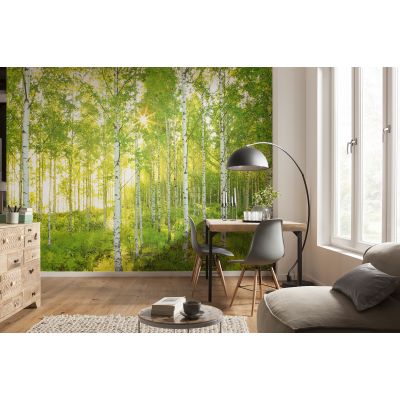 Фотообои Komar Sunday 8-519 бумажные 3,68х2,54м