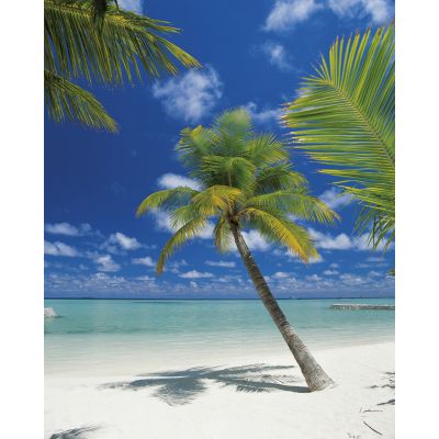 Фотообои Komar Ari Atoll 4-883 бумажные 1,84х2,54м