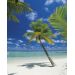Фотообои Komar Ari Atoll 4-883 бумажные 1,84х2,54м
