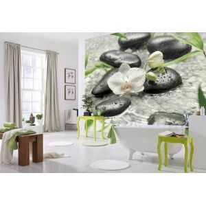 Фотообои Komar Pure 8-319 бумажные 3,68х2,54м