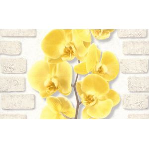 Обои Аспект Орхидея 10107-23 виниловые на бумаге 0,53х10,05м, желтый
