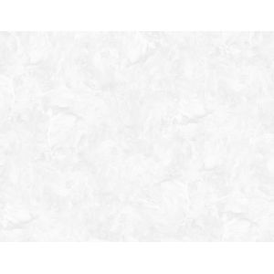 Обои Victoria Stenova Jannet 989511 виниловые на флизелине 1,06x10,05м, белый