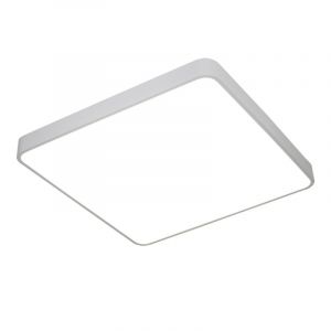 Светильник потолочный светодиодный  Arte Lamp Scena A2669PL-1WH