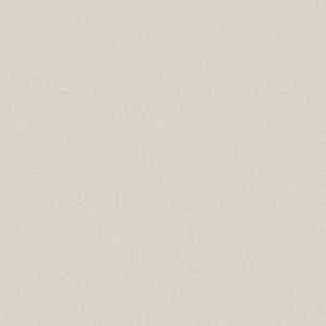 Линолеум Акцент Про Аспект 4 (3м)