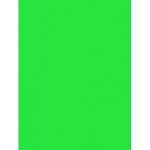 Пленка самоклеящаяся Color Decor 2013 0,45х8м, светло-зеленый матовый