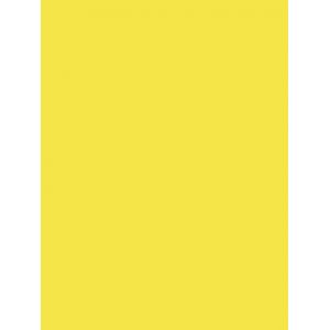 Пленка самоклеящаяся Color Decor 2001 0,45х8м, желтый матовый