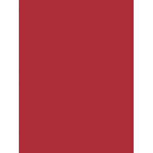 Пленка самоклеящаяся Color Decor 2007 0,45х8м, ярко-красный матовый