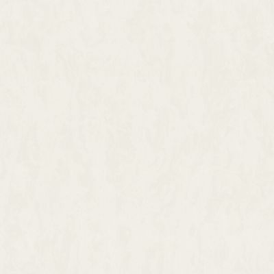 Обои Euro Decor 7166-00 виниловые на флизелине 1,06x10,05м, белый