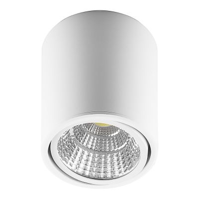 Спот Feron AL516 10W (800lm) 4000K белый