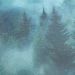 Обои Home Color My Forest HC71960-67 виниловые на флизелине 1,06х10,05м, зеленый