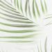 Обои Home Color Tropical Shades НC71973-17 виниловые на флизелине 1,06x10,05м, зеленый