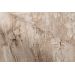 Обои Home Color Pine НС71383-12 виниловые на флизелине 1,06x10,05м бежевый