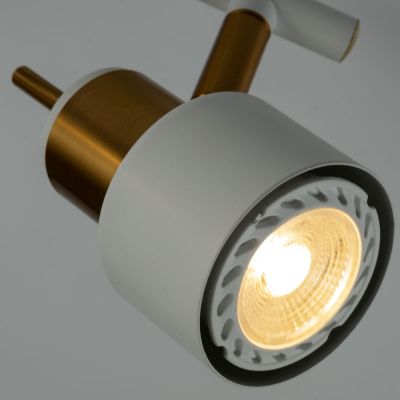 Спот Arte Lamp Almach A1906PL-2WH