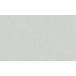 Обои Эрисманн Spectral Color 60625-02 виниловые на флизелине 1,06х10,05м, серый