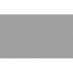 Обои WallSecret Basic Espresso 8809-02 виниловые на флизелине 1,06х10,05м, серый