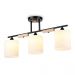 Светильник подвесной AMBRELLA LIGHT TR9551/3 BK/FR