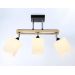 Люстра потолочная AMBRELLA LIGHT TR9507/3 E27 BK/CH/FR