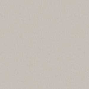 Обои Marburg 98825 виниловые на флизелине 1,06х10,05м, бежевый