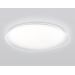 Светильник светодиодный AMBRELLA LIGHT ORBITAL FZ1615 FR RGB